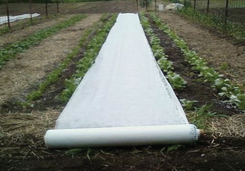 Agribon Row Covers, Row Covers