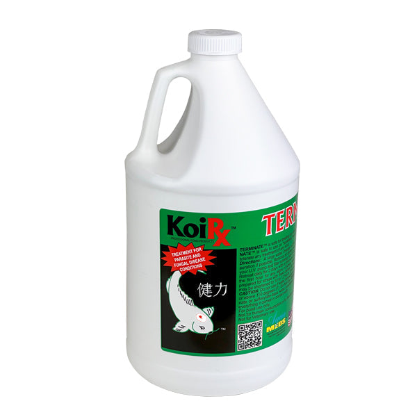 AquaMeds KoiRx Terminate - Koi Parasite Treatment