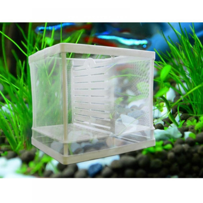 Large Aquarium Isolation Box