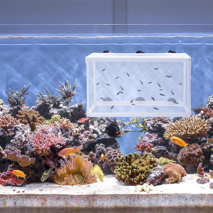 Large Aquarium Isolation Box
