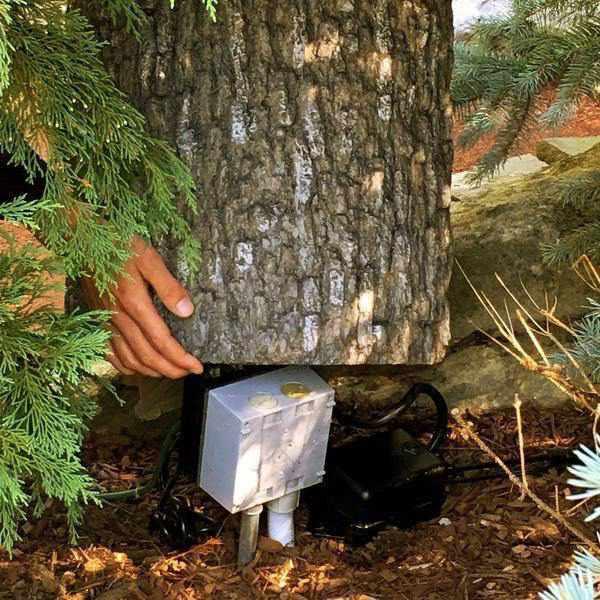 Aquascape Faux Oak Stump Cover - Play It Koi