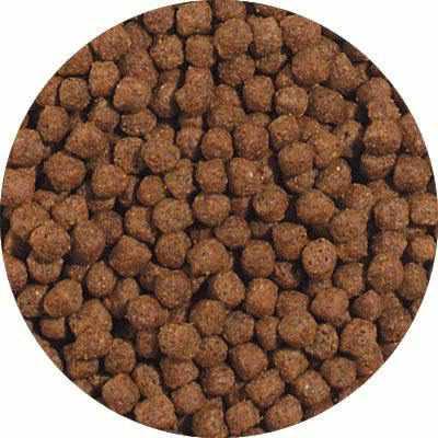 Blue Ridge Color Rich Formula Koi & Goldfish Food - Play It Koi