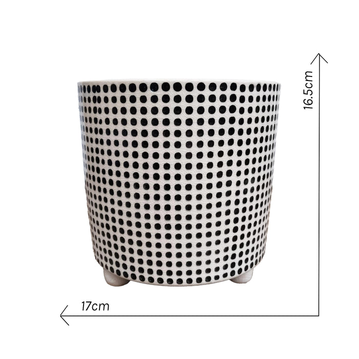 Ceramic Dot Pot 17X17X16.5cm