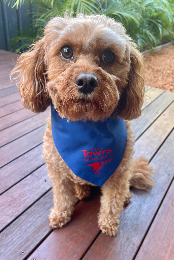 Dog Bandanna (Large)
