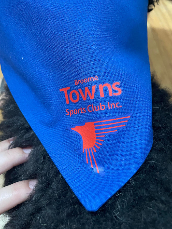 Dog Bandanna (Large)