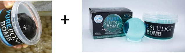 Evolution Aqua PURE Pond Duo Pack - Play It Koi