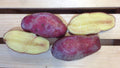 French Fingerling, Seed Potatoes