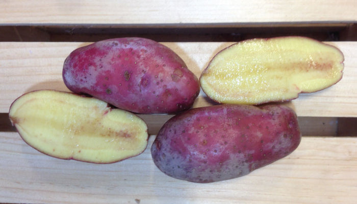 French Fingerling, Seed Potatoes