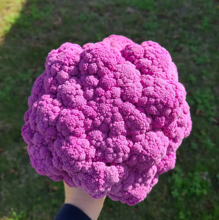 Graffiti, (F1) Cauliflower Seeds