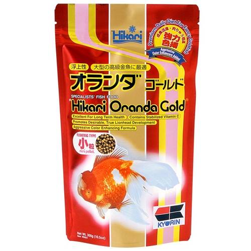 Hikari Oranda Gold