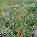 Hortonova FA Trellis: 48" x 328'