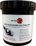Koi Pharma Pure Year-Round Bacteria Pro