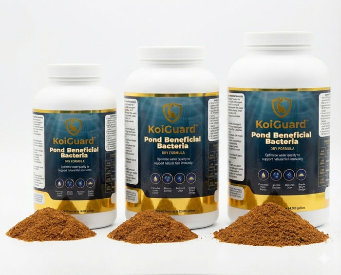 KoiGuard Beneficial Bacteria - Dry Formula