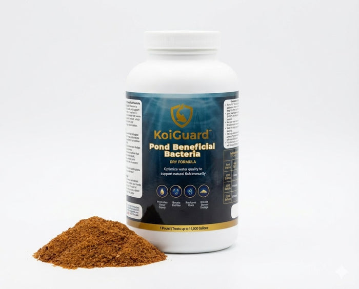 KoiGuard Beneficial Bacteria - Dry Formula
