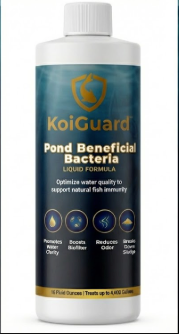 KoiGuard Beneficial Bacteria - Liquid Formula