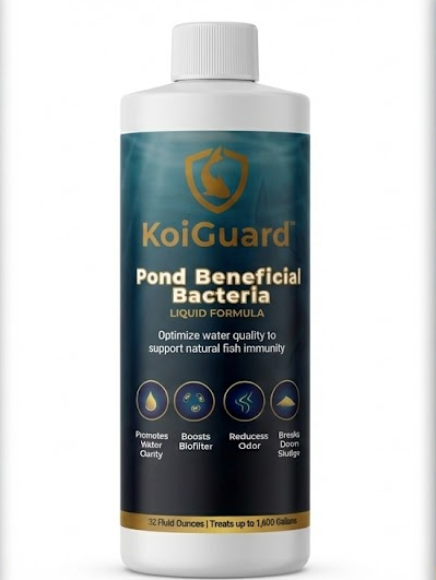 KoiGuard Beneficial Bacteria - Liquid Formula