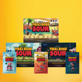 Level 1 & 2 & 3 Blueberry Multi-Pack