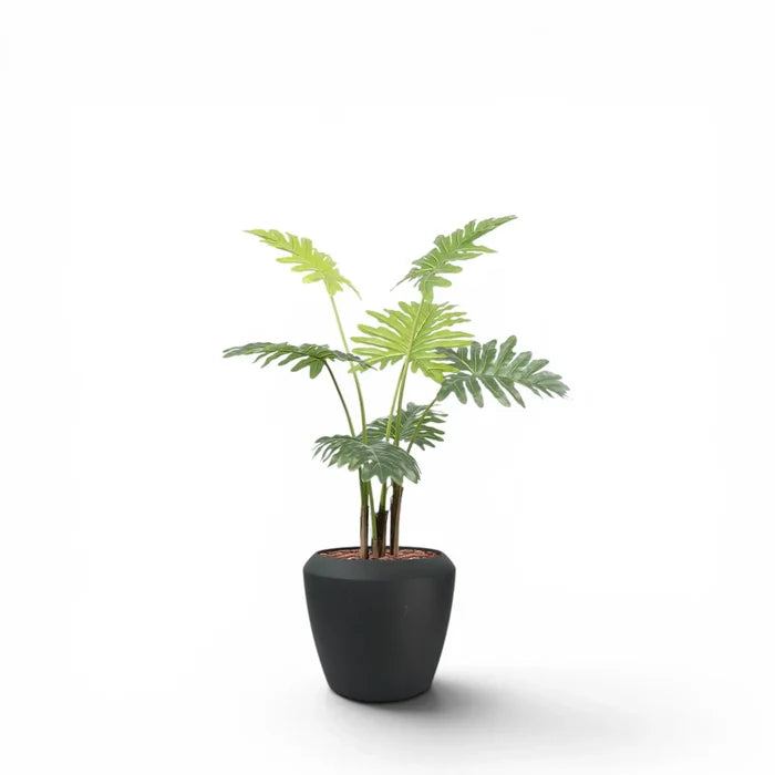 Linford Tall Planter M 44.5x70 With Philodendron 120cm