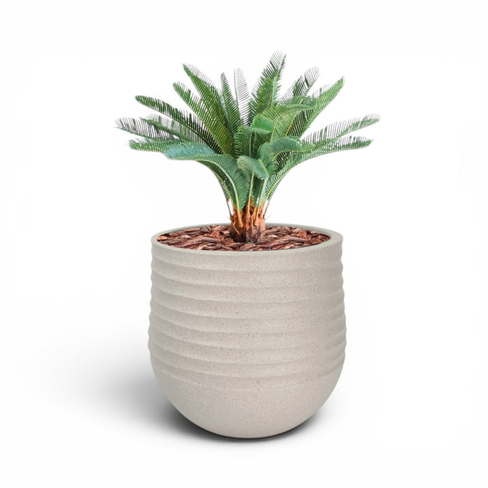 Mariella Round  L 53 x 49 Beige With Cycas 72cm