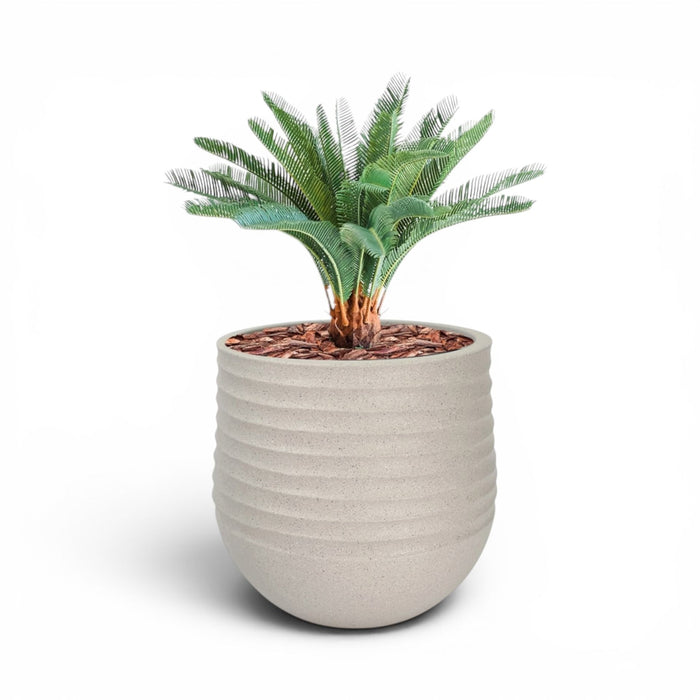 Mariella Round  L 53 x 49 Beige With Cycas 72cm