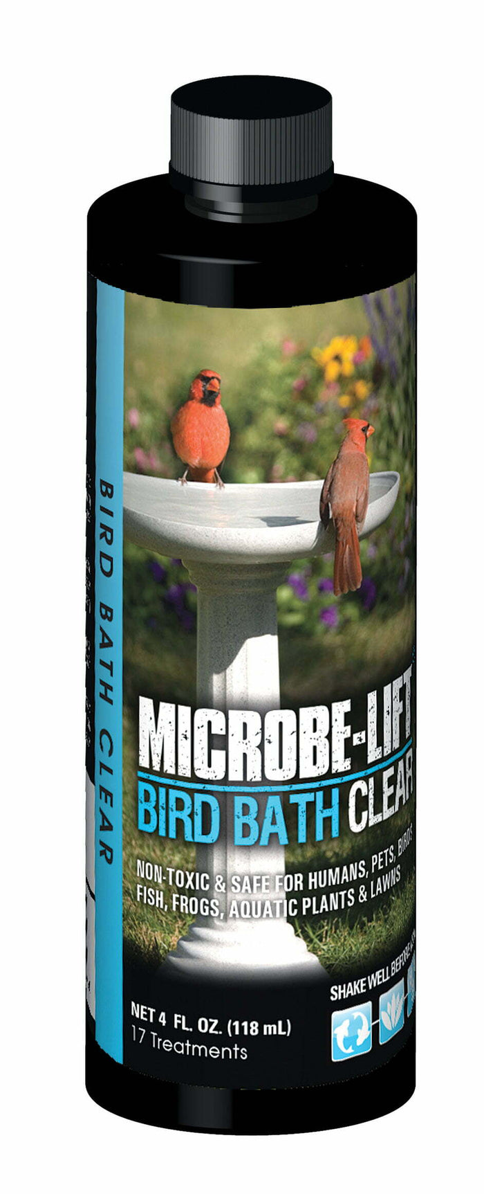Birdbath Clear
