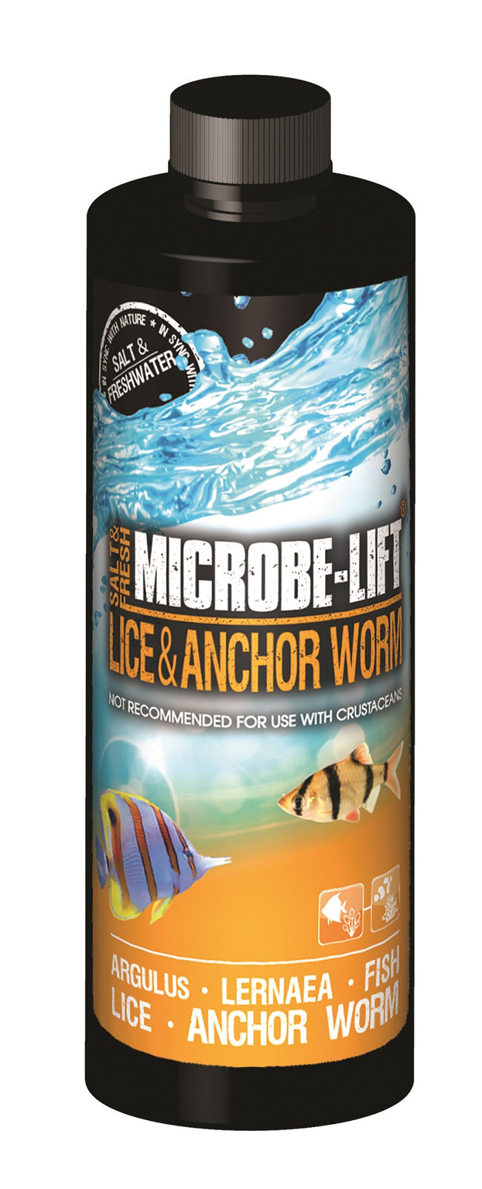 Lice and Anchor Worm
