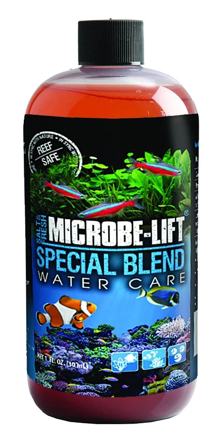 Special Blend