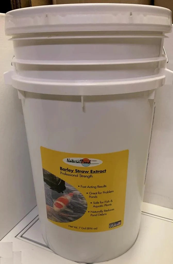 NaturalPond Liquid Barley Straw Extract - Play It Koi