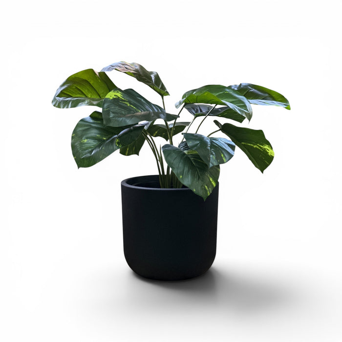 Newport Planter S 29.5x28 Black With Dieffenbachia 57cm