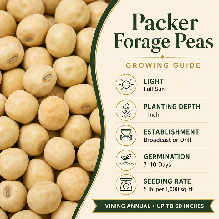 Packer Forage Peas growing guide and seed