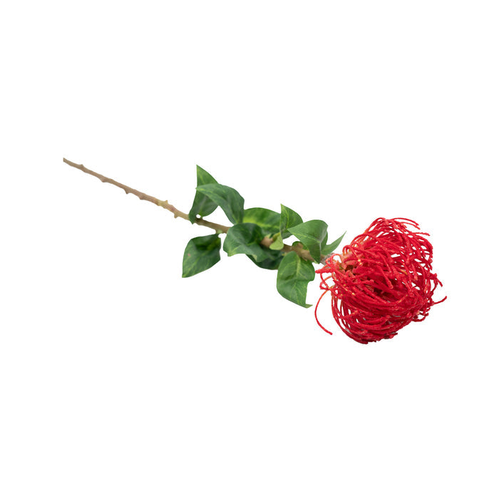 Pincushion Red Flower Stem - 60cm