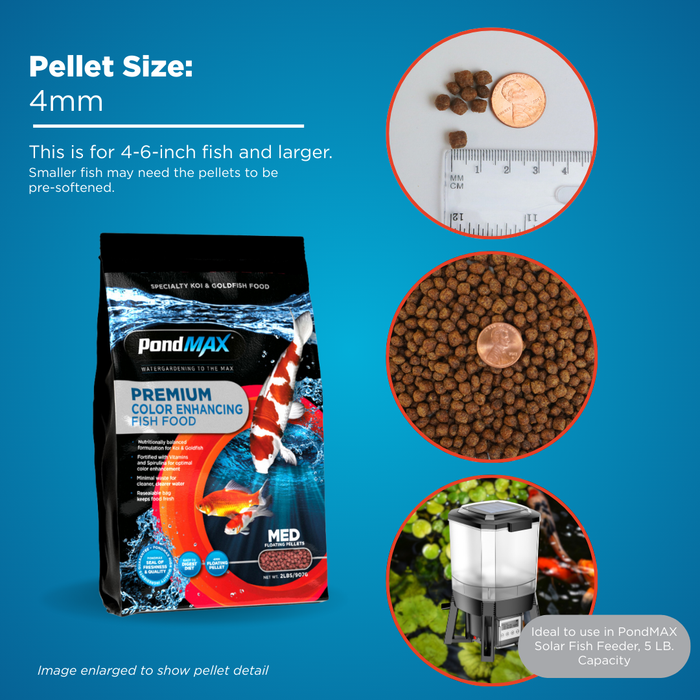 PondMAX premium color enhancing fish food packaging with pellets and feeder on a blue background