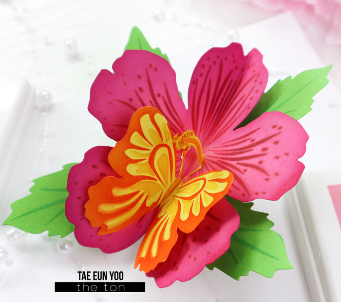 Pop-Up Hibiscus Dies