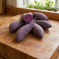 Purple Majesty, Sweet Potato Slips
