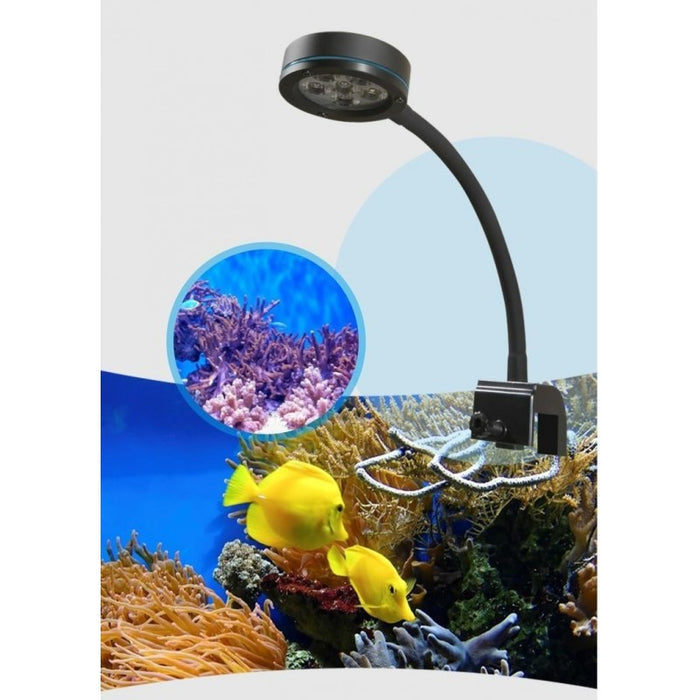 Q2-B Blue LED Light