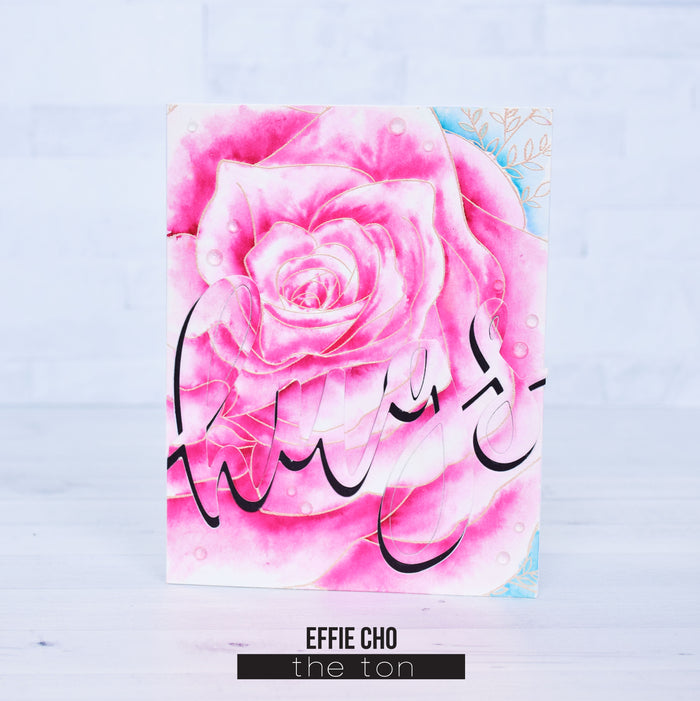 Rose Close Up Cling Background