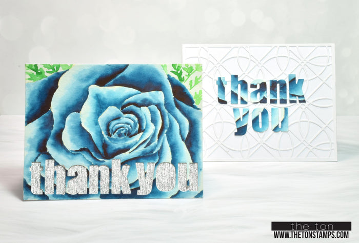 Rose Close Up Cling Background