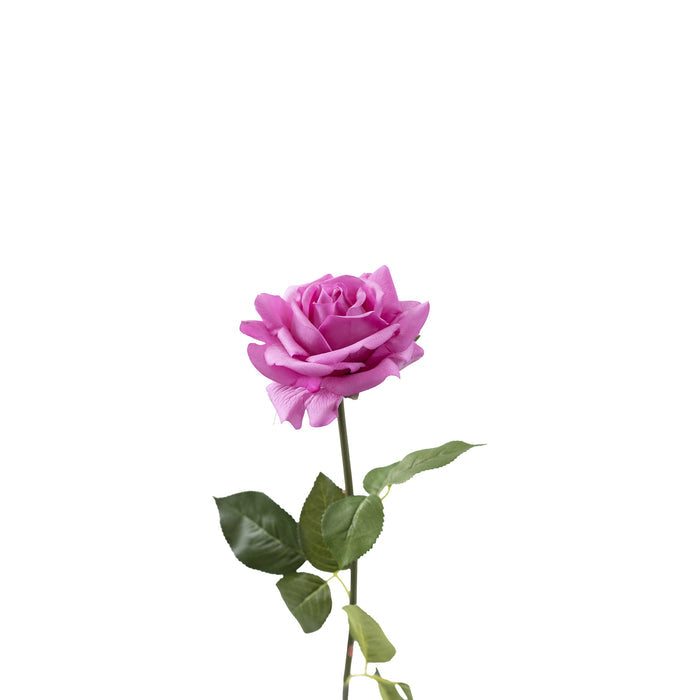 Rose Teaspray Purple Stem - 75cm