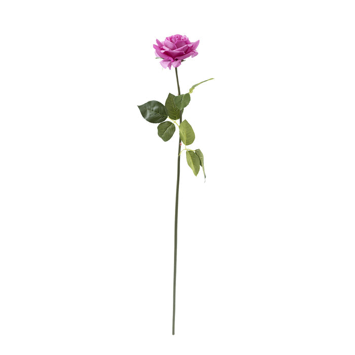 Rose Teaspray Purple Stem - 75cm