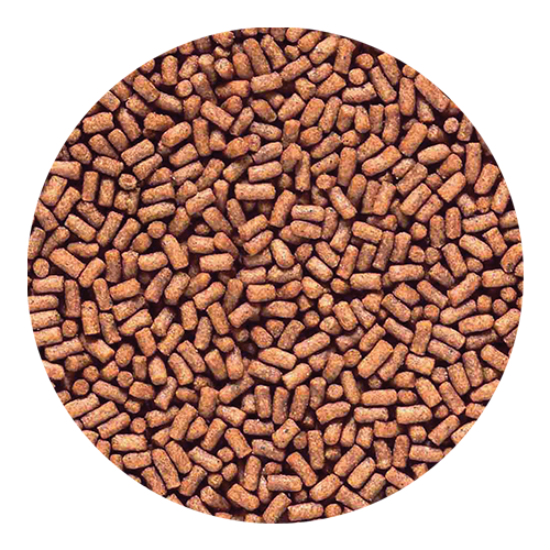 Saki-Hikari Fancy Goldfish pellet detail