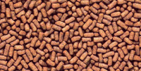 Saki-Hikari Fancy Goldfish pellet size reference