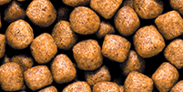 Saki Hikari Growth Formula - Medium Pellet - family