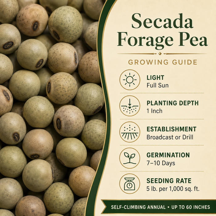 Secada Forage Pea growing guide and seed