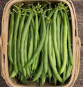 Seychelles, Bean Seeds