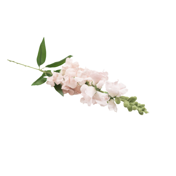 Snapdragon Light Pink Stem - 92cm