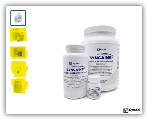 Syncaine (Tricaine-S) (MS 222) Fish Anesthetic
