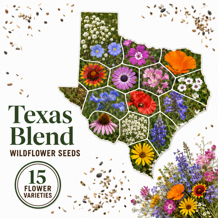Texas Blend, Wildflower Seed