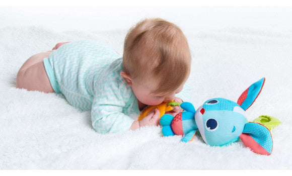 Tiny Love Meadow Days Thomas Jitter Baby Toy