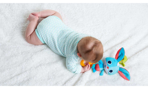 Tiny Love Meadow Days Thomas Jitter Baby Toy