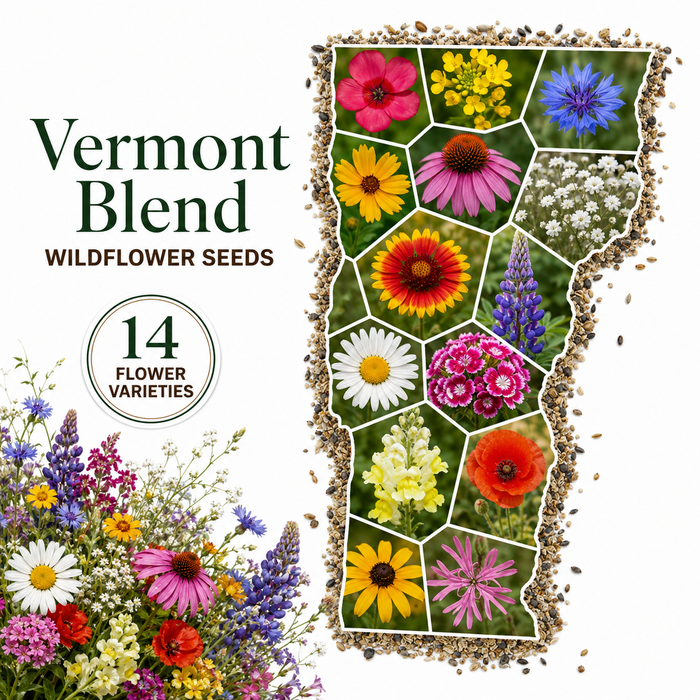 Vermont Blend, Wildflower Seed